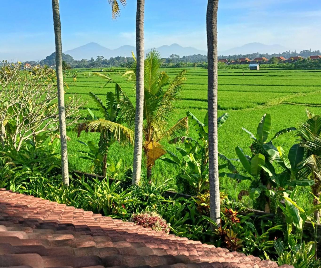 Runa House Of Design Ubud Exterior foto