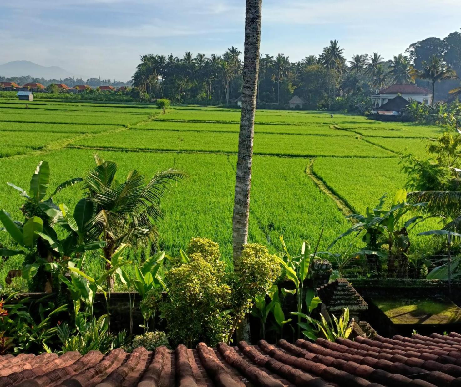 Runa House Of Design Ubud Exterior foto